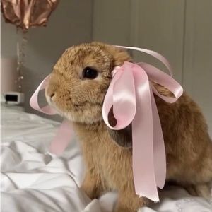 Meet your Posher, Eden